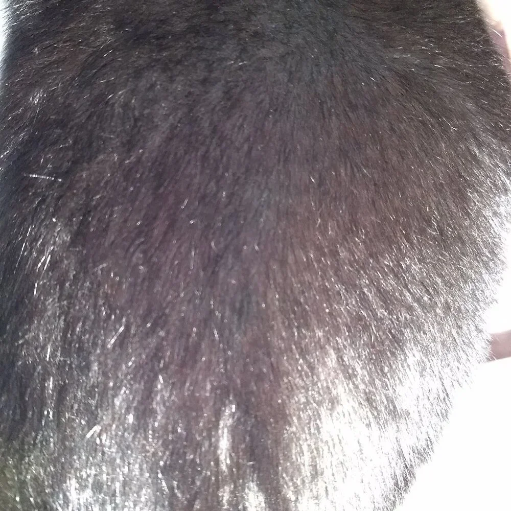 NWOT Fox Fur Collar/Scarf - Picture 3 of 5